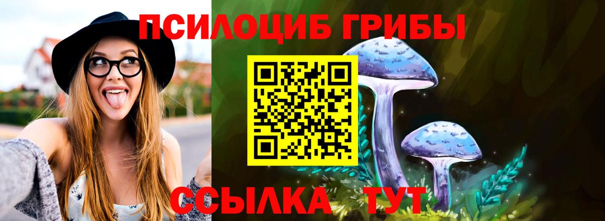 Галлюциногенные грибы мицелий  Вход с VPN  Галлюциногенные грибы прущие грибы  Благодарный 